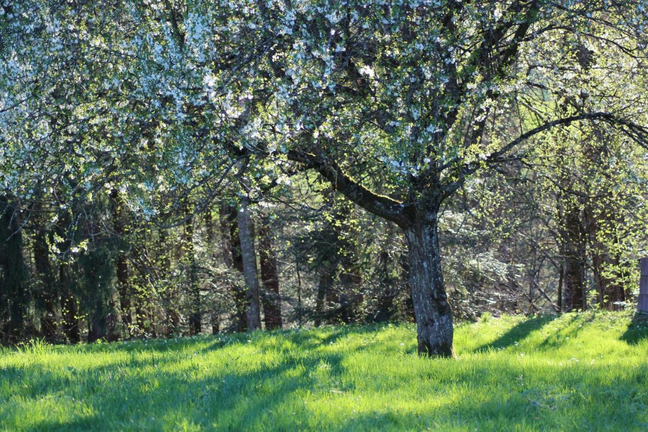 אלברשוונדה Naturparadies Silvia מראה חיצוני תמונה